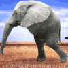 two legged elephant emoticon