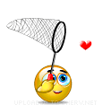 Butterfly Heart smiley (Love Emoticons)