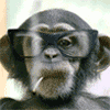 Monkey With Glasses Smoking emoticon (Drug emoticons)