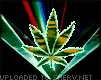 Weed Light Effects animated emoticon