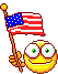 Usa Flag