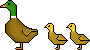 emoticon of Duck