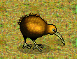 Kiwi emoticon (Bird emoticons)