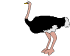 Ostrich animated emoticon
