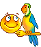 Pet Parrot animated emoticon