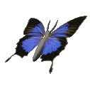 Awesome Cute Butterfly smiley (Bug and insect emoticons)
