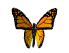 Butterfly smiley (Bug and insect emoticons)