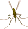 Mosquito animated emoticon