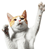 cute cat waving goodbye smiley