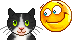 Black and White cat animated emoticon