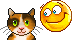 Colorful cat animated emoticon