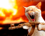 icon of firing cat
