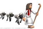 Jesus Leading Flock of Sheep animated emoticon