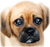 icon of sad cute puppy