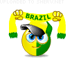 icon of brazilian fan
