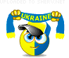 Ukraine Supporter emoticon (Sports fan emoticons)