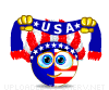 USA Supporter animated emoticon