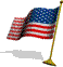 Big USA flag animated emoticon