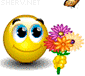 Amazing butterfly emoticon (Flower emoticons)
