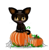 Pumpkin and Black Cat emoticon