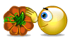 Rolling Pumpkin emoticon (Halloween Smileys)