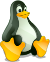 Linux Penguin