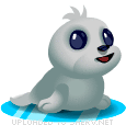 emoticon of Baby Seal