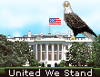 white house icon
