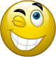 Happy wink smiley (Smiling emoticons)