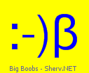 Big Boobs Color 1