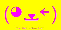 Cool Wink Color 3
