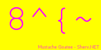 Mustache Goatee Color 3